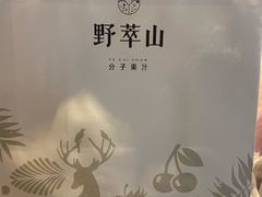 -野萃山·潮汕厚果汁(十亩地店)