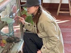 -春风十里咖啡馆