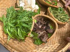 -滇野云南野生菌餐厅(陕西南路店)