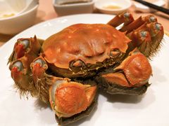 -王宝和酒家(黄浦店)