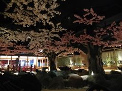 -蓝鲸湾汤泉(包河店)