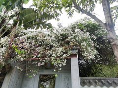 -深圳国际园林花卉博览园