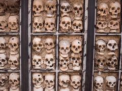 -比如骷髅墙景区