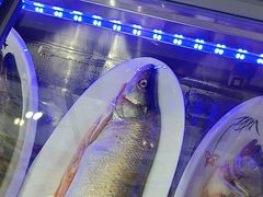 -掌勺人鱼馆(朝阳镇店)