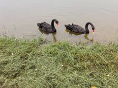 -湖泉半山温泉(湖泉生态园)