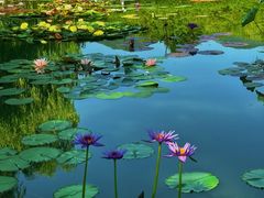 -国家植物园南园