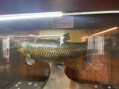 -南京金牛湖风景区