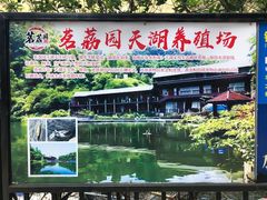 门面-茗荔园农庄(大涌店)