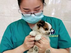 -仁华宠物医院(青羊店)