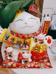 -JUVA欧华医美连锁