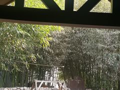 -清雅臻品·竹林院落·新派青岛菜(崂山店)