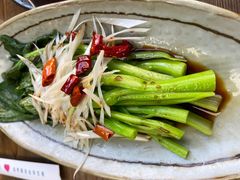 -鲁前海沿儿
