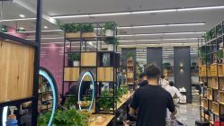 点击看大图 -藤野造型
