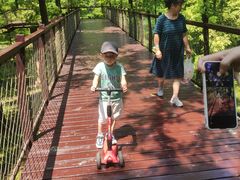 -黄海国家森林公园