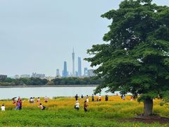 -海珠湖公园