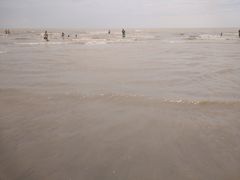 -奉贤海滩