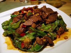 虎皮椒牛腱子-鑫农家大院(余家头店)