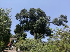 -金堂县云顶石城风景区