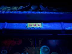 -郑州方特梦幻王国