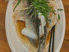 -开心农家菜