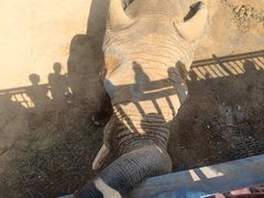 -西霞口神雕山野生动物世界