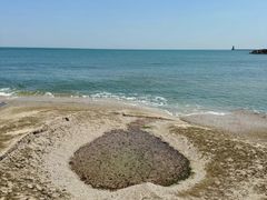 -日照灯塔风景区