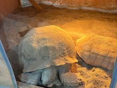 -砂之船奥特莱斯(合肥店)