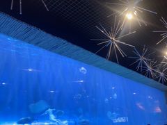 -华夏文旅西安度假区