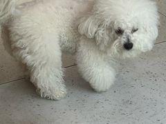 -MOI COFFEE(江山汇悦山府店)