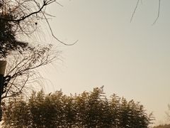 -池州市平天湖风景区