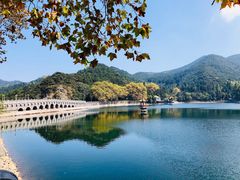 -庐山风景区花径公园