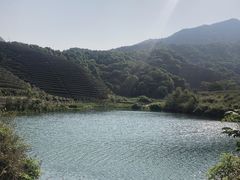-龙坞茶村