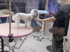 -FAELING PETS美天灵宠物(富力广场店)