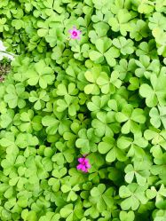 -FineYoga梵音瑜伽·普拉提