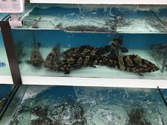 -盒马鲜生(大成店)