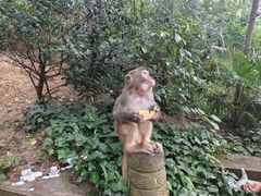 -黔灵山公园