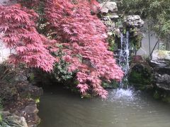 -上海醉白池公园