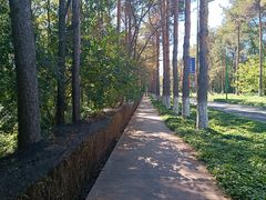 -黑龙江省森林植物园
