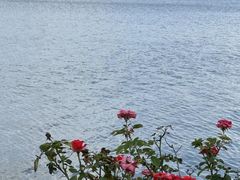 -东钱湖小普陀景区