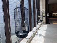 -上海崇明金茂凯悦酒店