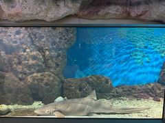 -福州罗源湾海洋世界旅游区