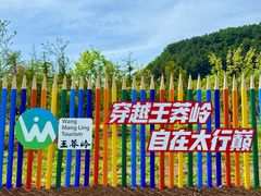 -王莽岭风景区