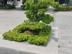-黄埔古港