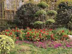 -西安交通大学第一附属医院(总院)