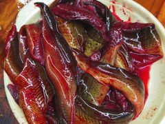 现划鳝鱼-储奇门鳝鱼火锅(总店)