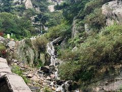 -泰山风景名胜区