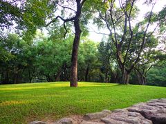 -晓港公园