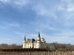 -北京张裕爱斐堡酒庄