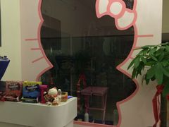 店内环境-樱桃家的宠物店(君安花园店)