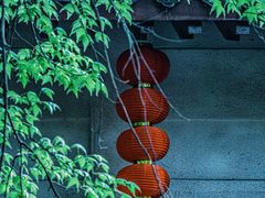 -东湖磨山景区